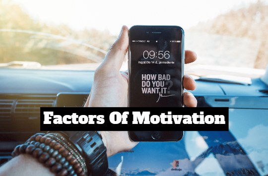 4 factors of motivation
