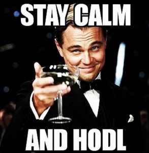 leonardo dicaprio stay calm and hodl meme 700x717