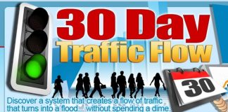 30 day traffic flow