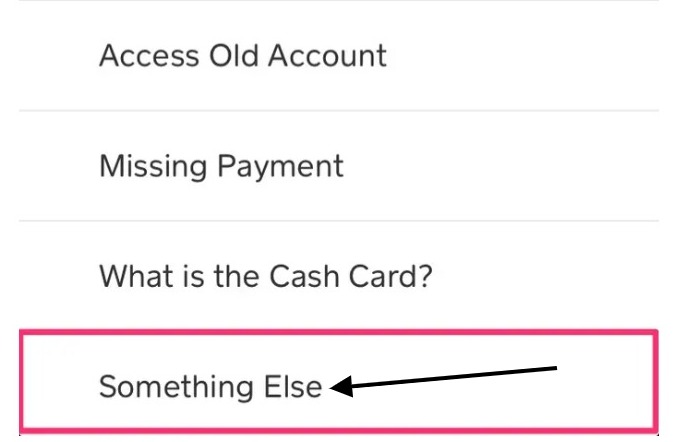 cash app something else