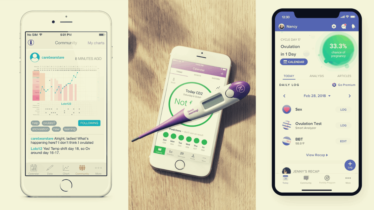 Kindara App: How to Calculate the Ovulation Period